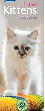 【预订】I Love Kittens, RSPCA Slim Calendar 2022 9781529816488