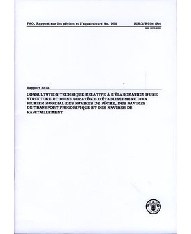 预订 Rapport de La Consultation Technique Relative A L’Elaboration D’Une Structure Et D’Une Strategie D’Etablissemen
