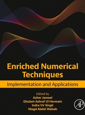 预订 Enriched Numerical Techniques: Implementation and Applications