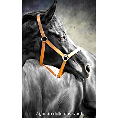 预订 Agenda delle password: Agenda degli indirizzi web e delle password di accesso - Copertina cavallo nero: 97815427967