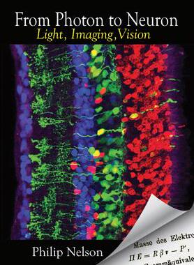 现货 From Photon to Neuron