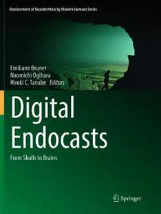 Endocasts Digital 预订 Brains Skulls From