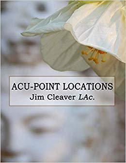 【预售】Acu-Point Location