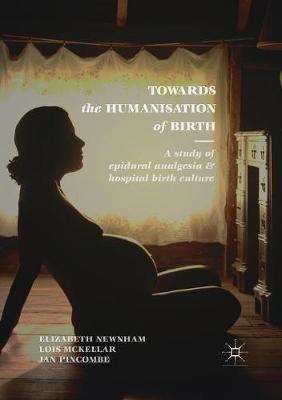 【预订】Towards the Humanisation of Birth: A Study of Epidural Analgesia and Hospital Birth Culture