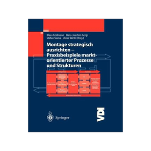 预订 Montage strategisch ausrichten — Praxisbeispiele marktorientierter Prozesse und Strukturen