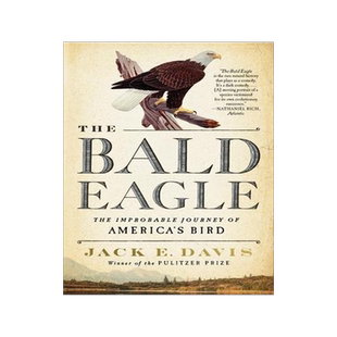 [预订]The Bald Eagle: The Improbable Journey of America’s Bird 9781324094104