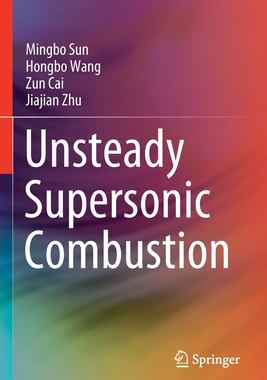【预订】Unsteady Supersonic Combustion