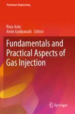 【预订】Fundamentals and Practical Aspects of Gas Injection 9783030772024