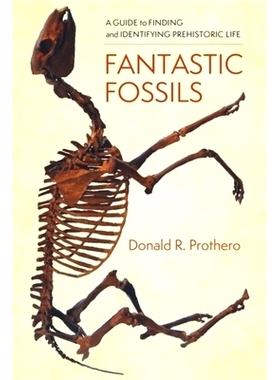 预订 Fantastic Fossils: A Guide to Finding and Identifying Prehistoric Life: 9780231195799