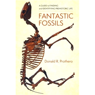 预订 Fantastic Fossils: A Guide to Finding and Identifying Prehistoric Life: 9780231195799