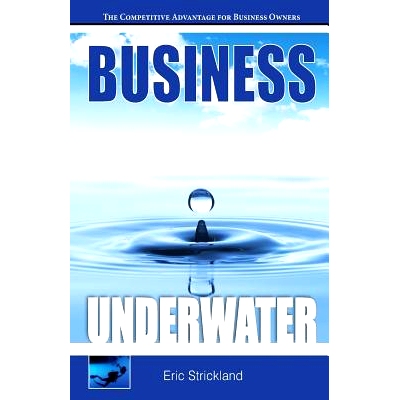 预订 Business Underwater: The Competitive Advantage For Business Owners: 9781537239576