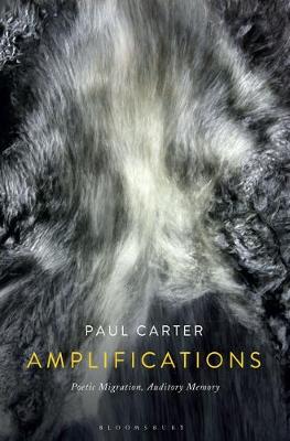 【预订】Amplifications: Poetic Migration, Auditory Memory