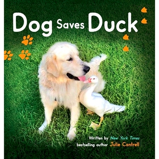 Saves Duck Dog 预订