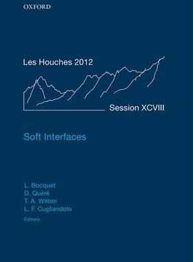 【预订】Soft Interfaces