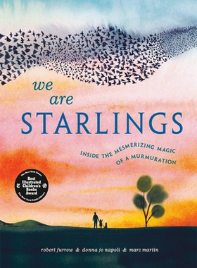预订 We Are Starlings: Inside the Mesmerizing Magic of a Murmuration: Inside the Mesmerizing Magic of a Murmuration 我们