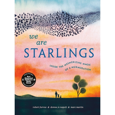 预订 We Are Starlings: Inside the Mesmerizing Magic of a Murmuration: Inside the Mesmerizing Magic of a Murmuration 我们