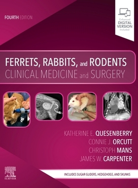 【预订】Ferrets, Rabbits, and Rodents