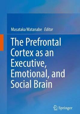 【预订】The Prefrontal Cortex as an Executive, Emotional, and Social Brain