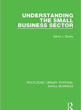 【预售】Understanding the Small Business Sector