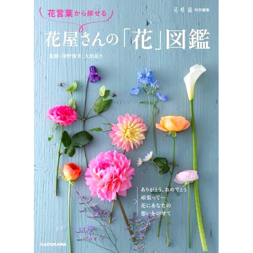 预订 花言葉から探せる花屋さんの「花」図鑑 花店的鲜花百科全书，可以根据花的语言进行搜索: 9784048975230