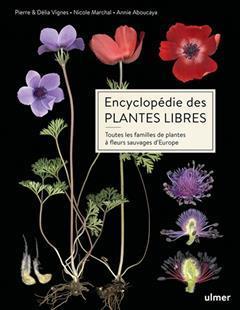 [预订]Encyclopédie des plantes libres : toutes les familles de plantes à fleurs sauvages d’Europe 9782379222504