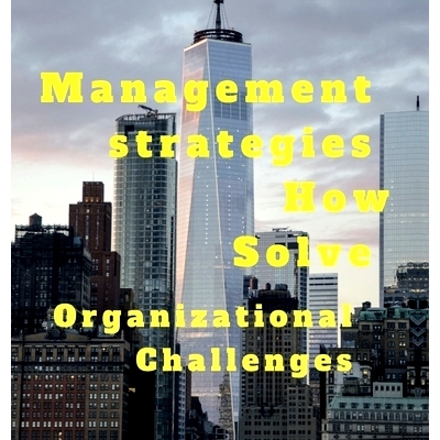预订 Management strategies How Solve Organizational Challanges: 9798895196960