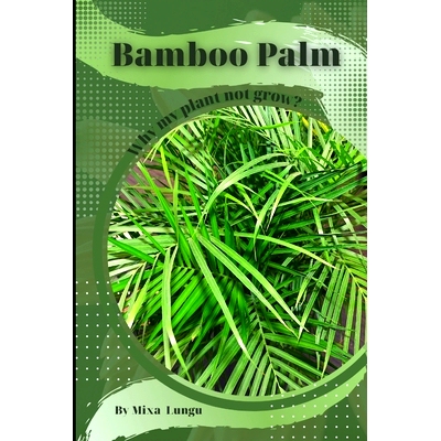 预订 Bamboo Palm: Why my Plant not grow? problems and their solutions: 9798864826607