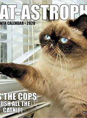 【预售】Cat-Astrophe 2020 Mini Calendar