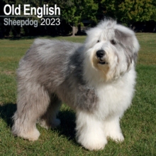 【预订】Old English Sheepdog 2023 Wall Calendar 9781839417368