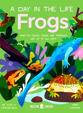预订 Frogs (a Day in the Life): What Do Frogs, Toads, and Tadpoles Get Up to All Day?: 9781684493074