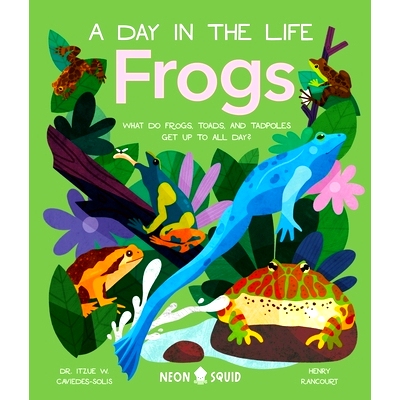 预订 Frogs (a Day in the Life): What Do Frogs, Toads, and Tadpoles Get Up to All Day?: 9781684493074