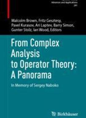 [预订]From Complex Analysis to Operator Theory: A Panorama: In Memory of Sergey Naboko 9783031311383