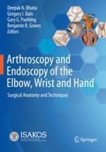【预订】Arthroscopy and Endoscopy of the Elbow, Wrist and Hand 9783030794255