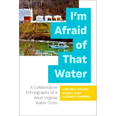 A Collaborative Ethnography of a West Vi