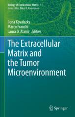 【预订】The Extracellular Matrix and the Tumor Microenvironment 9783030997076