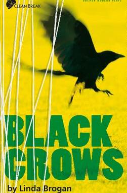 [预订]Black Crows: A New Play 9781840027372