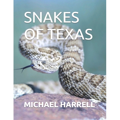 预订 Snakes of Texas 德克萨斯州的蛇: 9798332433252