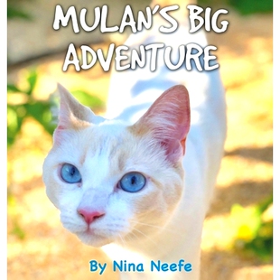 Lost 9781087886169 Adventure Story True Big The Kitty 预订 Mulan’s