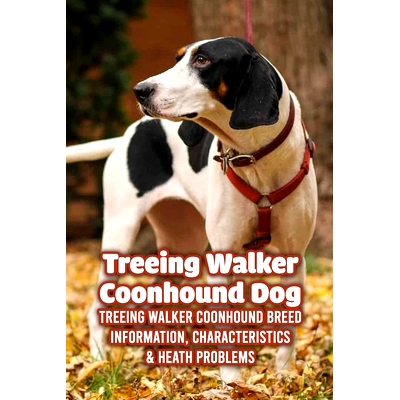 预订 Treeing Walker Coonhound Dog: Treeing Walker Coonhound Breed Information, Characteristics & Heath Problems: Fun Inf