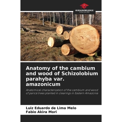 预订 Anatomy of the cambium and wood of Schizolobium parahyba var. amazonicum: Anatomical characterization of the cambiu