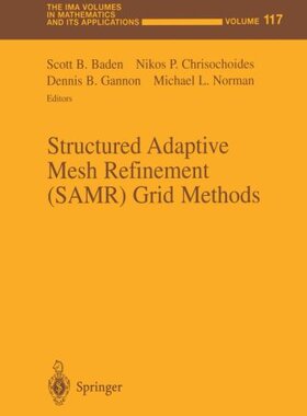 【预售】Structured Adaptive Mesh Refinement (SAMR) Grid Methods