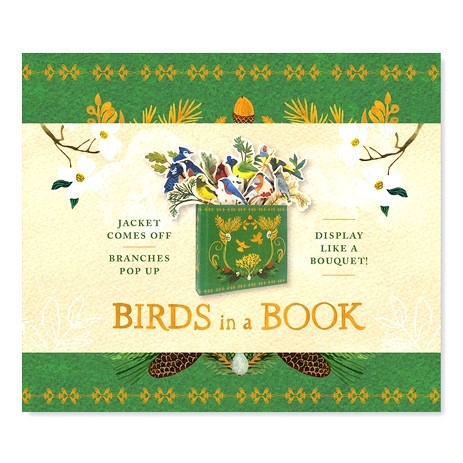 Jacket Comes Off. Branches Pop Up. Displ