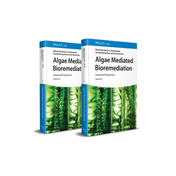 Industrial Prospectives