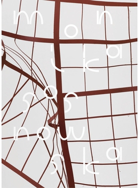 预订 Monika Sosnowska: Models 莫妮卡·索斯诺夫斯卡: 9783991530183