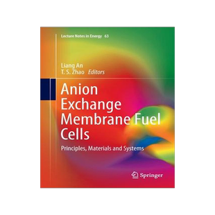 预订 Anion Exchange Membrane Fuel Cells