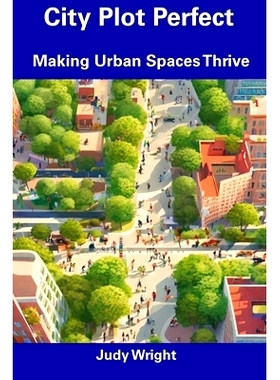 预订 City Plot Perfect: Making Urban Spaces Thrive: 9798857545003