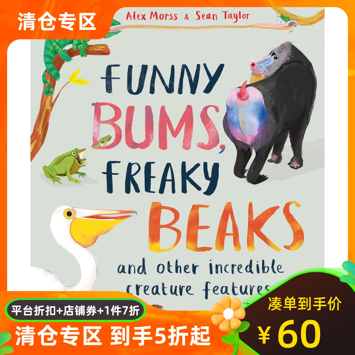 英文原版 动物趣知识 Sarah Edmonds插画 科普绘本 精装 Funny Bums, Freaky Beaks: and Other Incredible Creature Features