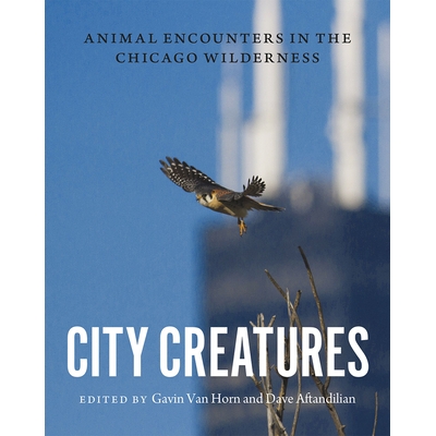 Animal Encounters in the Chicago Wildern
