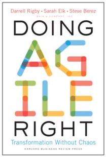 Right Agile Doing 9781633698703 预订