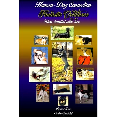 预订 Fantastic Creatures: When handled with love: 9781692119812